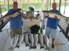(09/21/2016) - Nice Striped Bass